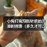 小狗打完预防针后的洗澡时间表（多久才可以给小狗洗澡？预防针的影响和建议）（图2）