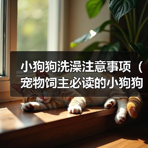 小狗狗洗澡注意事项(宠物饲主必读的小狗狗洗澡全攻略)(图3) 小狗狗洗澡注意事项(宠物饲主必读的小狗狗洗澡全攻略)(图3)