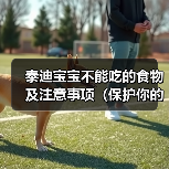 泰迪宝宝不能吃的食物及注意事项（保护你的泰迪宝宝健康的饮食守则）