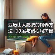 亚历山大鹦鹉的饲养方法(以爱与耐心呵护最聪明的宠物——亚历山大鹦鹉)(图3) 亚历山大鹦鹉的饲养方法(以爱与耐心呵护最聪明的宠物——亚历山大鹦鹉)(图3)