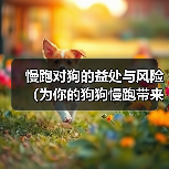 慢跑对狗的益处与风险（为你的狗狗慢跑带来的好处和潜在风险）（图3）