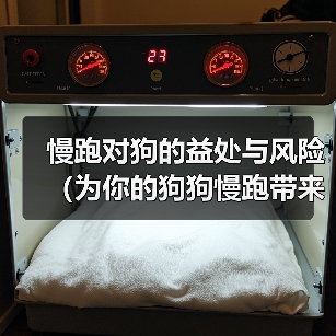 慢跑对狗的益处与风险（为你的狗狗慢跑带来的好处和潜在风险）（图2）