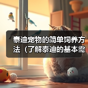 泰迪宠物的简单饲养方法(了解泰迪的基本需求,营造舒适生活环境)(图3) 泰迪宠物的简单饲养方法(了解泰迪的基本需求,营造舒适生活环境)(图3)