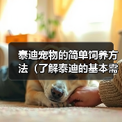 泰迪宠物的简单饲养方法(了解泰迪的基本需求,营造舒适生活环境)(图4) 泰迪宠物的简单饲养方法(了解泰迪的基本需求,营造舒适生活环境)(图4)