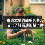 泰迪宠物的简单饲养方法(了解泰迪的基本需求,营造舒适生活环境)(图2) 泰迪宠物的简单饲养方法(了解泰迪的基本需求,营造舒适生活环境)(图2)