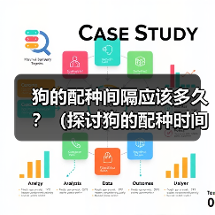 狗的配种间隔应该多久？（探讨狗的配种时间间隔对健康与繁殖的影响）（图4）