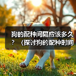 狗的配种间隔应该多久？（探讨狗的配种时间间隔对健康与繁殖的影响）（图3）