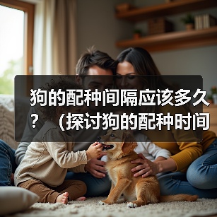 狗的配种间隔应该多久？（探讨狗的配种时间间隔对健康与繁殖的影响）（图2）