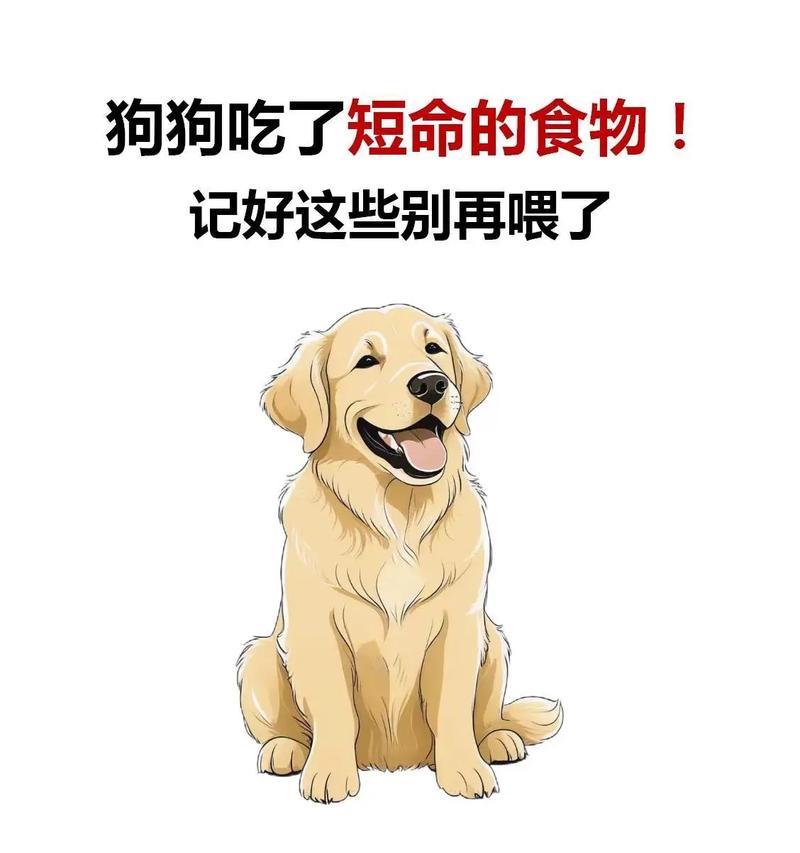 狗狗为什么会严重贫血？（探寻狗狗贫血的原因及应对之道）