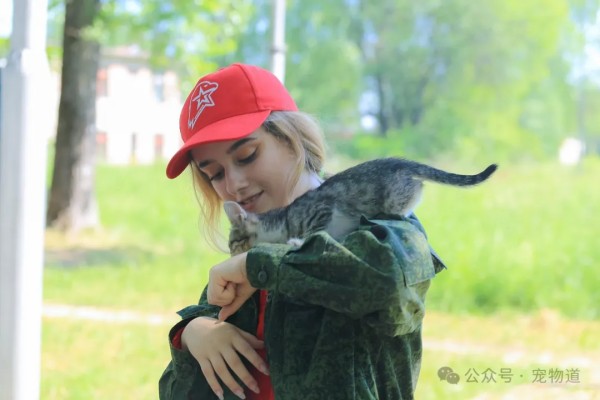 又一上市公司，将宠物经济业务视为第二增长曲线