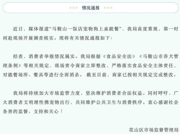 饭店允许宠物狗上桌就餐被举报，官方回应