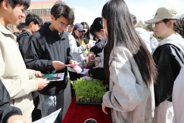 春暖清明承暖意，赴一场校园里的青春之约