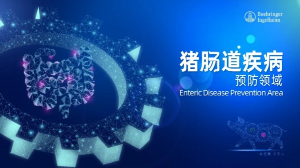 全国323所高校设立畜牧兽医专业！四川26、山东23、河南20、云南19…，每年输送超3.5万高素质人才【勃林格特约·猪业视野】