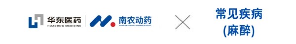 探麻醉精微，筑安全防线——第21届北京宠物医师大会麻醉专场即将深度开讲