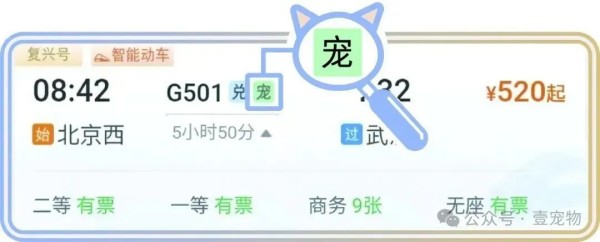 毛孩子也能坐高铁了：2026年中国宠物出行革命进行时